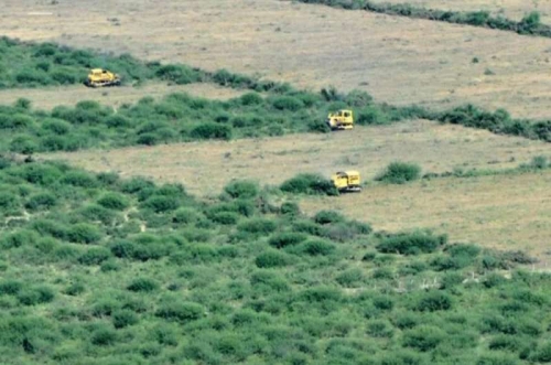 La tasa de deforestación en Salta fue la más alta del mundo en los últimos años