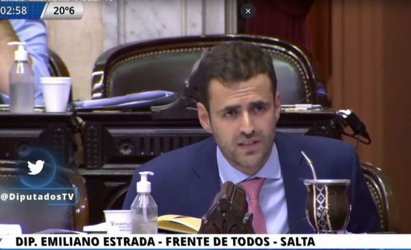 Estrada abandonó la comisión de presupuesto para no avalar el acuerdo con el FMI