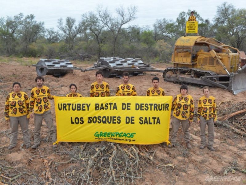 “El desmonte sube, no se frenó nada. La Secretaría de Medioambiente, la Fiscalía y la policía no existen, todo se cajonea. La topadora sigue, la deforestación sigue”