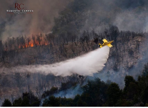 Nuevamente incendios intencionales afectan a Chubut