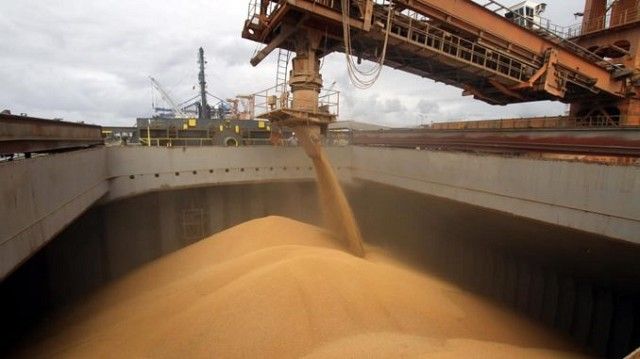 Exportaciones de legumbres crecieron 85% en divisas
