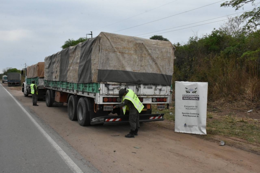 Decomisan 110 toneladas de maíz en Aguaray