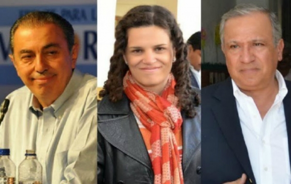 Fiore, Romero y Urtubey votaron contra el proyecto para frenar los tarifazos