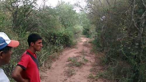 El