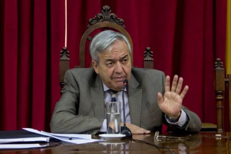 “Los senadores son diferentes a los diputados, son una especie de cofradía”