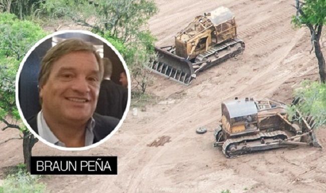 Braun Peña deberá pagar $2.500.000 y reforestar 550 hectáreas