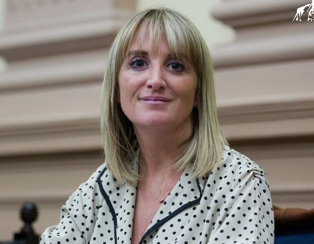 Cartuccia: Si se investiga a Exeni, se deben investigar a otros