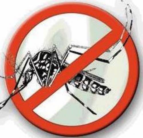 Escuela Burela cerrada por caso de dengue