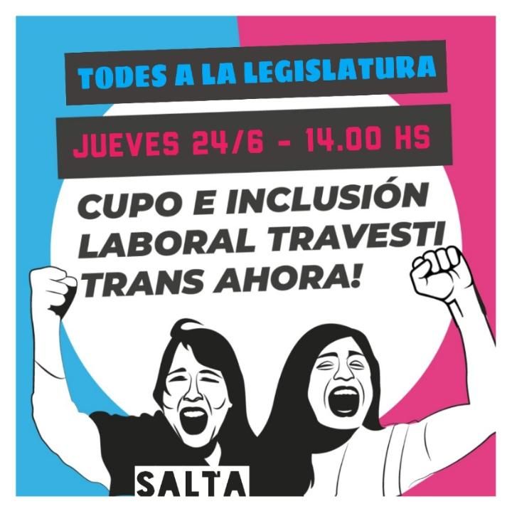 Día histórico, se trata en el senado la ley de Cupo e Inclusión Laboral Travesti Trans