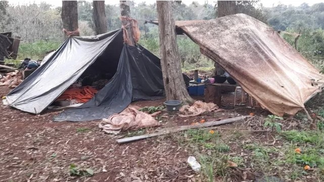 Salta: AFIP detectó trata laboral en campos de producción de tomate y yerba mate