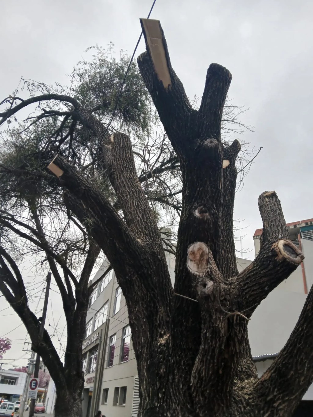 Clausuraron preventivamente la clínica San Roque