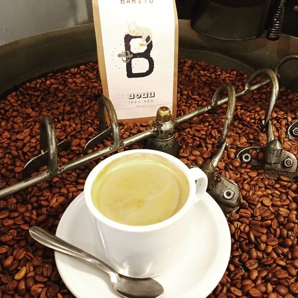 Salta es la provincia con más hectáreas de café plantadas