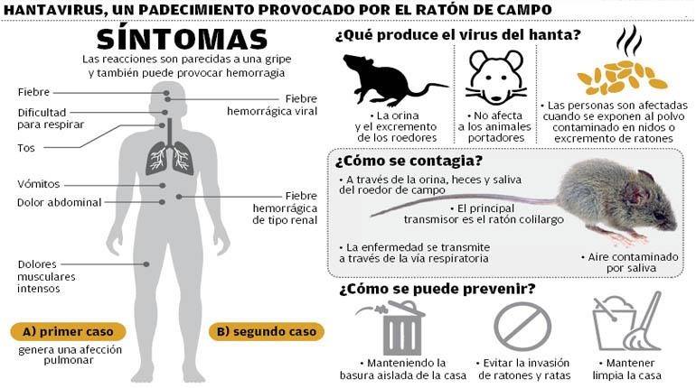 Hantavirus: 11 casos en Orán, cuatro personas fallecidas