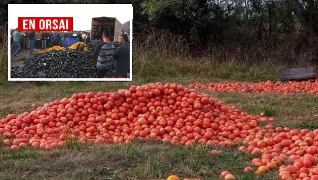 Productores de Salta tiraron 200 toneladas de verduras por falta de ventas y precios de crisis