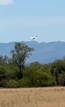 Avioneta narco: Dos detenidos