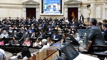 Veto a la ley de financiamiento universitario: el oficialismo celebró y la oposición los acusó de "darle la espalda al pueblo"