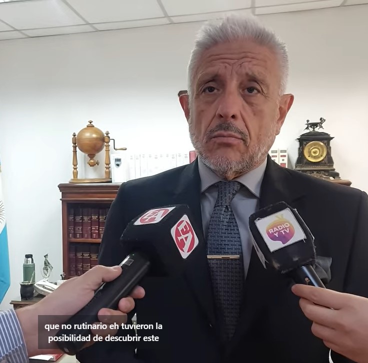 La marca del delfín