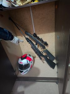 Un policía detenido por extracción ilegal de madera