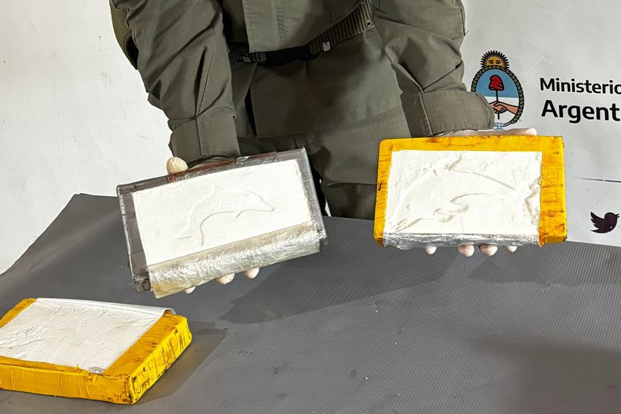 Una oranense y un boliviano traficaban cocaína con el sello del delfín