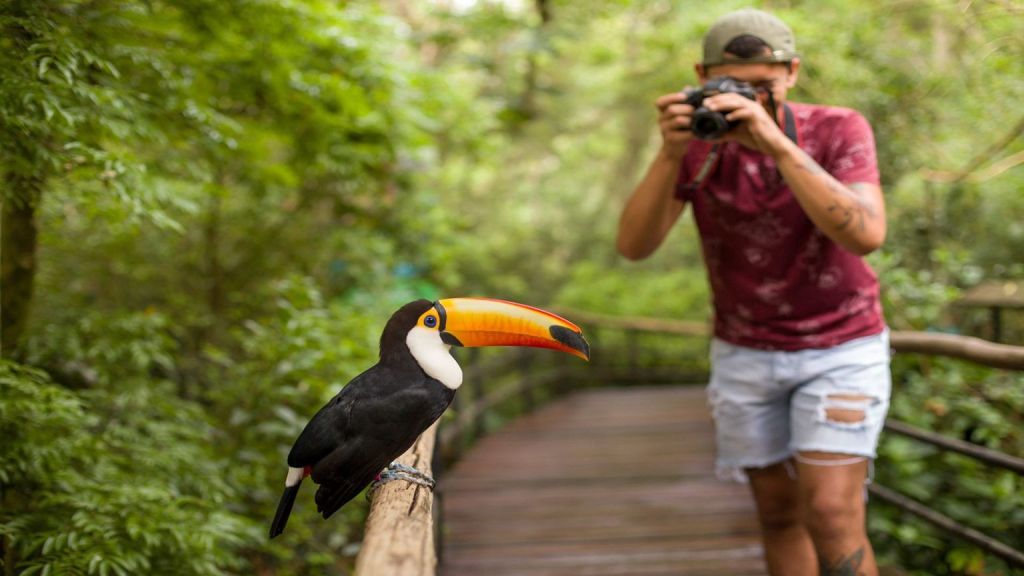 Salta y Jujuy sede del encuentro internacional de avistaje de aves