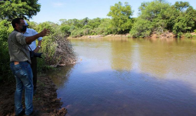 Poco oxígeno por ola de calor mató peces en el río Salado