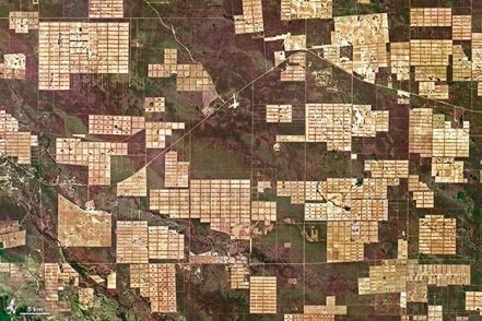 Efectos de la deforestación en el Gran Chaco