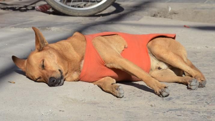 Arranca el invierno con una temperatura superior a 12ºC