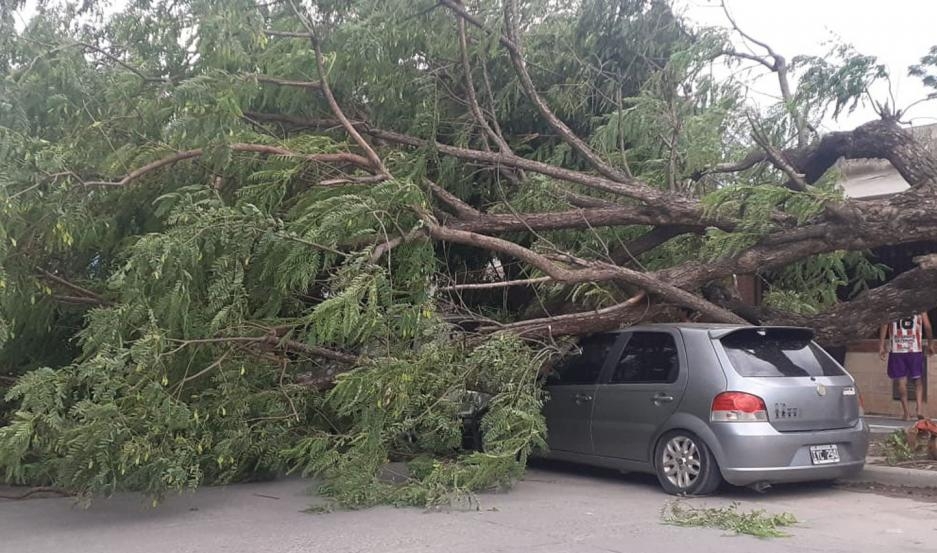 La tormenta ocasionó cuantiosos daños en Capital y el interior