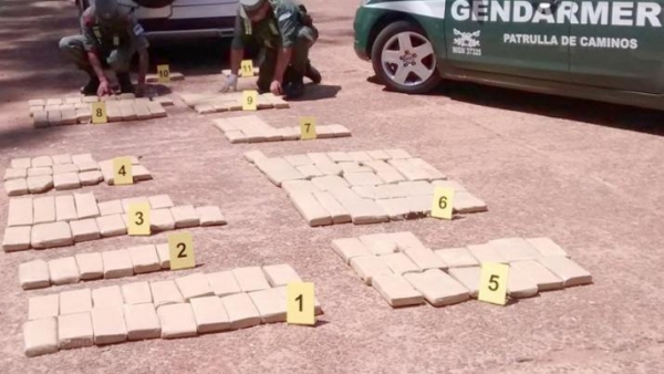 Encuentran más de 1000 kilos de marihuana escondidos en la maleza