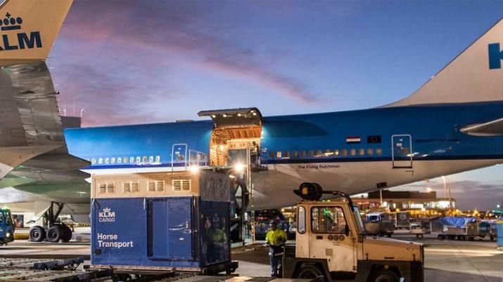 Secuestran 84 kilos de cocaína en un avión en Ezeiza que volaba hacia Amsterdam