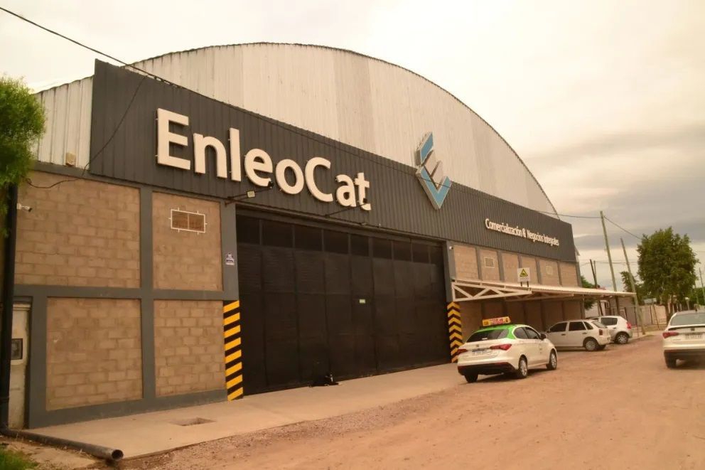 La titular de la firma Enleocat y su hijo sumarían denuncias por millonario defraudación