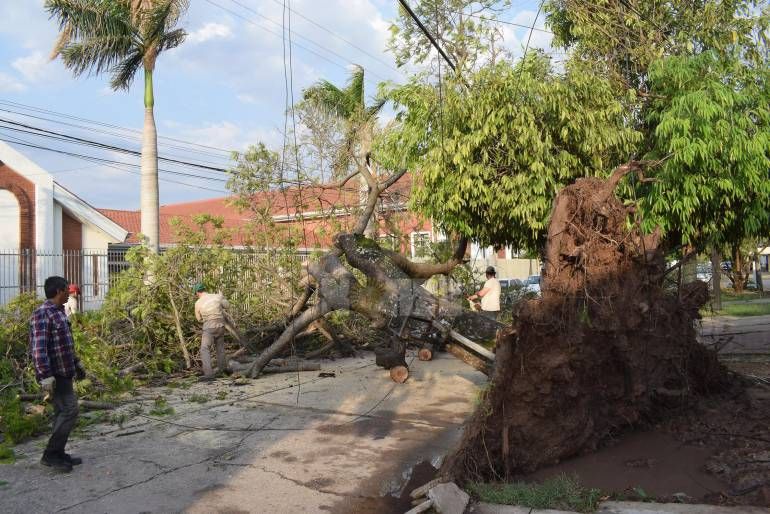 Temporal de viento causó inconvenientes en Sáenz Peña