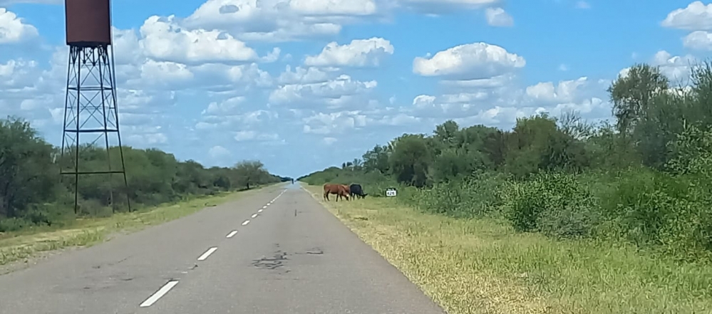 Encontró la muerte cuando viajaba con su nene en una motocicleta