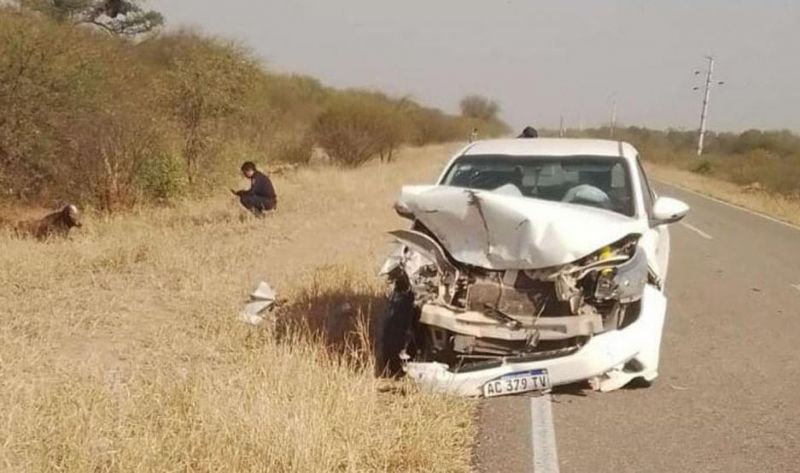 Cinco vacas provocan accidente en la ruta Nº 92 y dos personas salvan sus vidas en forma fortuita