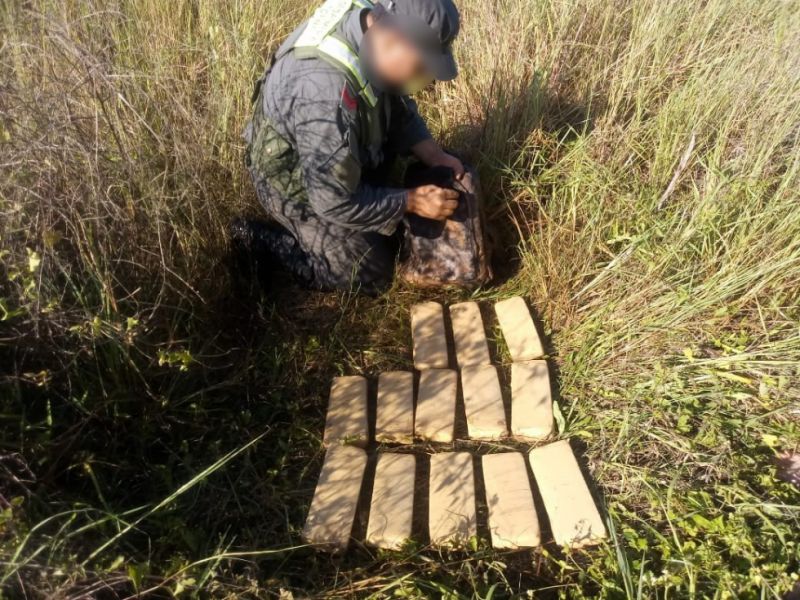 Gendarmería secuestró 13 kilos de marihuana en cercanías de Castelli
