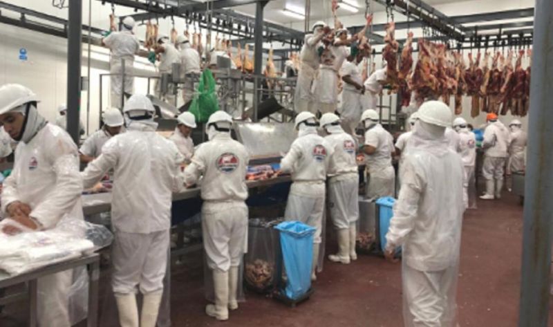 Frigorífico local reduce la actividad al 50% y se frenan inversiones