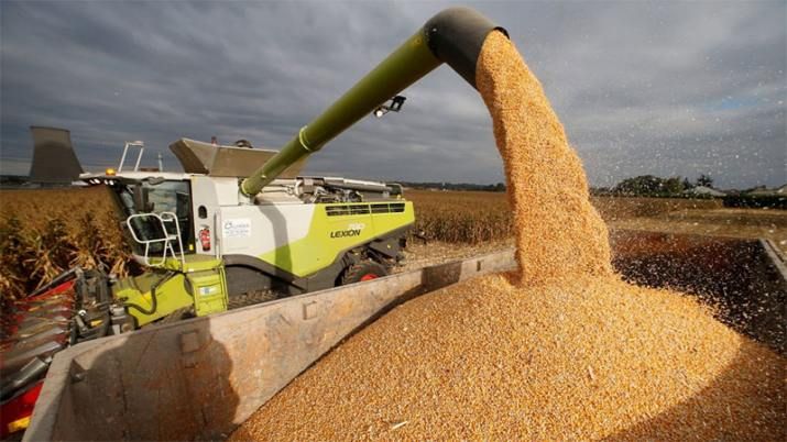 El Gobierno decidió cerrar la exportación de maíz hasta marzo