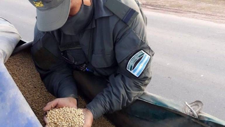 Gendarmería descubrió el contrabando de 103 toneladas de soja