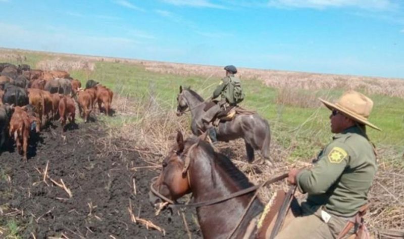 Detienen al hijo de uno de los empresarios acusado por el robo de ganado