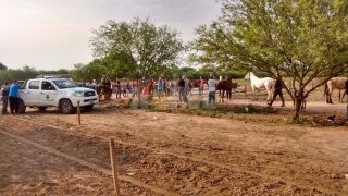 Carreras cuadreras con persecución, disparos y tres detenidos