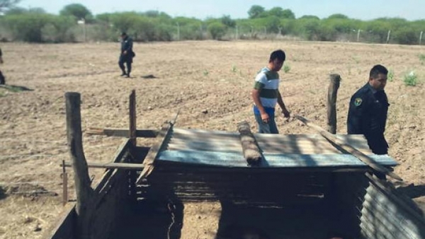 La leona volvió a atacar la misma chacra en Quimilí y ahora mató a 9 lechones