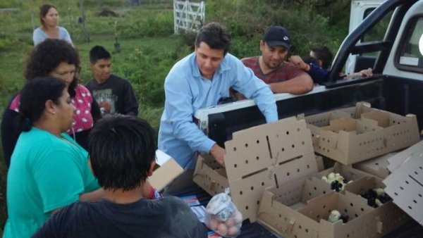 Productores recibieron pollitos y ponedoras para incrementar la producción de sus granjas