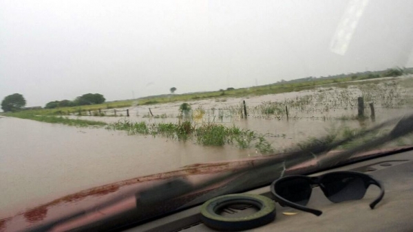 Llueve intensamente en gran parte del interior del Chaco: más de 290 milímetros en Las Breñas