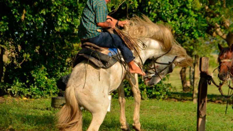 Sufrió gravísimas heridas cuando el caballo que intentaba domar le cayó encima