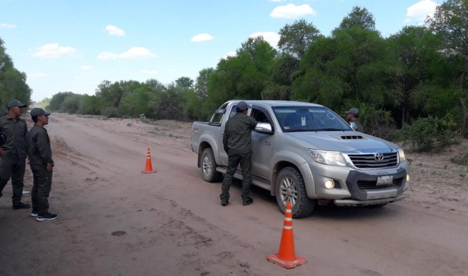 Intensos operativos contra tráfico ilegal de madera y fauna en el interior