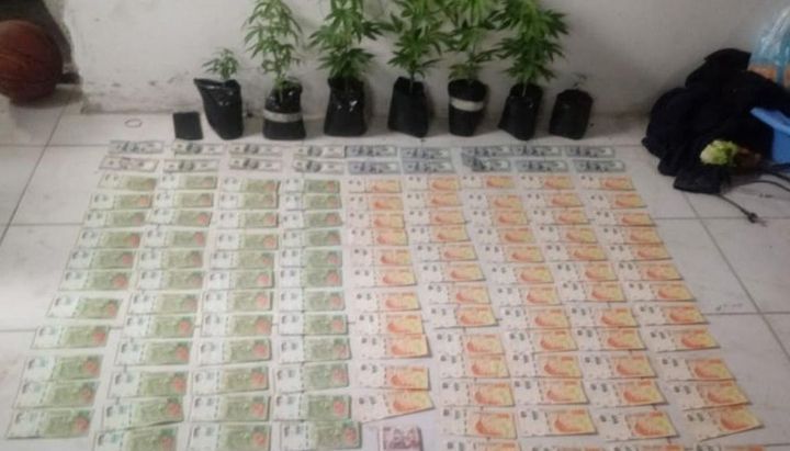 Se le vino la noche: Por no pagar la luz cayó un narco