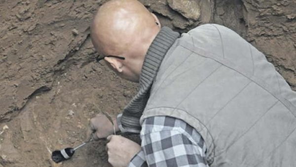 El animal podría haber muerto empantanado allí mismo donde se lo encontró enterrado
