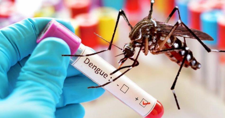 Histórico brote de dengue: son 129 los muertos y hay más de 180 mil casos registrados.