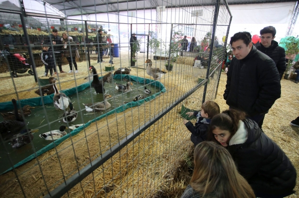 "Cuando al campo se le saca el pie de encima, demuestra lo que es capaz de hacer", dijo Michetti en la Rural