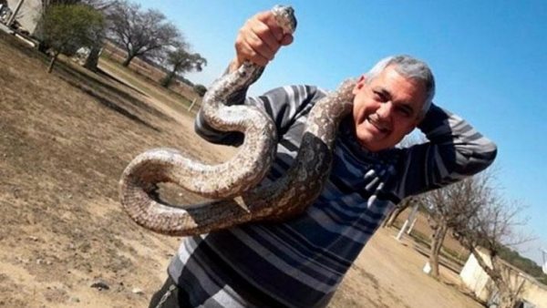 Encontraron víboras gigantes en una escuela: una pesaba 50 kilos